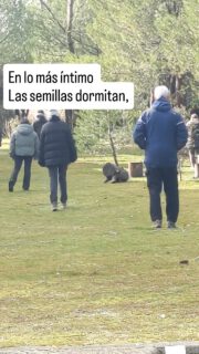 Pequeño resumen (muy pequeño) para todo lo grande y redondo que ha salido este retiro de invierno.

Muchísimas gracias a todas y a todos por compartiros este fin de semana.

Os copio entero aquí también el poema de Lula Cañas que ha inspirado este encuentro y que cada vez me parece más precioso y preciso para describir el trabajo que hemos venido a hacer todas:

"La savia se recoge,

En lo más íntimo las semillas dormitan, 

Aguardando su momento para renacer.

La oscuridad más profunda 

Contiene el retorno de la luz. 

La maduración del ciclo completado 

Exhala sabiduría;

El anuncio de un nuevo comienzo"

#retirosierramadrid #retiroyogamadrid #retiromeditación