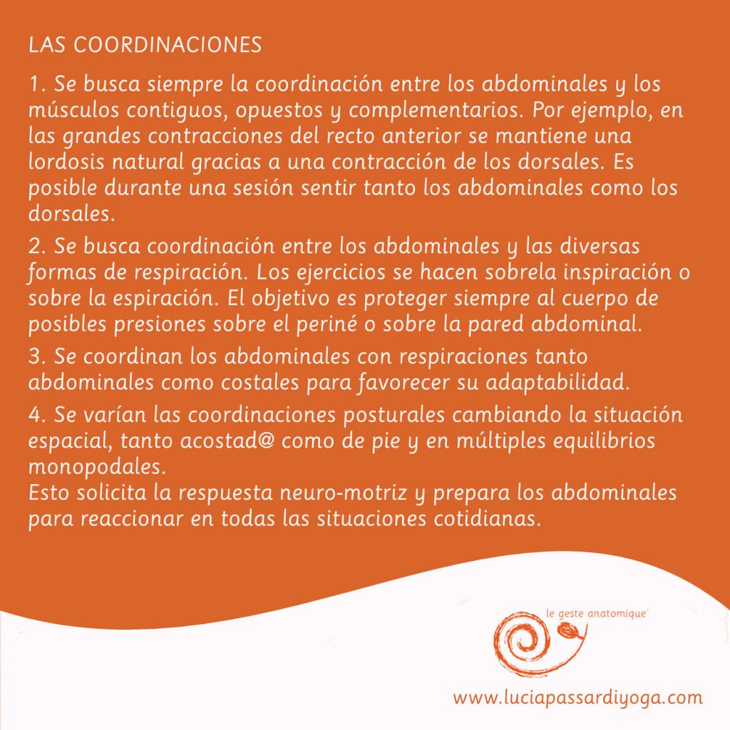 Abdominales sin riesgo